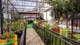 Гостевой дом «Серебряный двор», г. Гагра